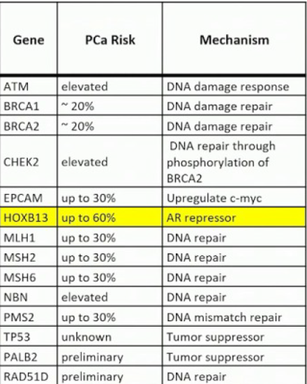 AUA2020_Prostate_cancer_involved_genes.png