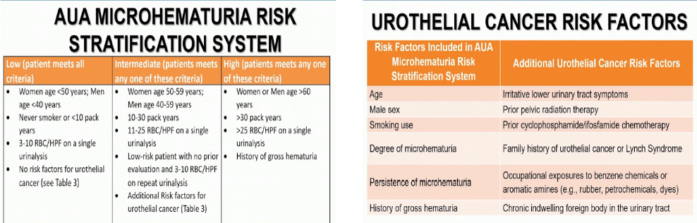 AUA2020__AUA_Guidelines_2020-_Microhematuria.png