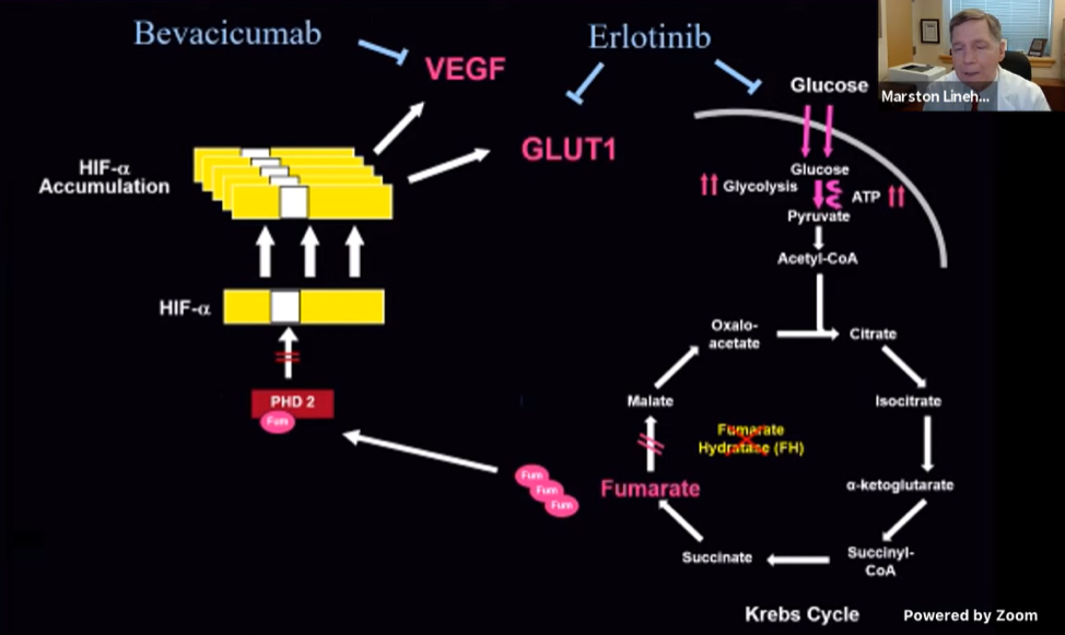 AUAMAY_GeneticBasis_5.png