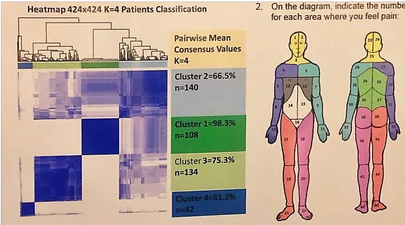 AUA 2019 brief pain inventory body map