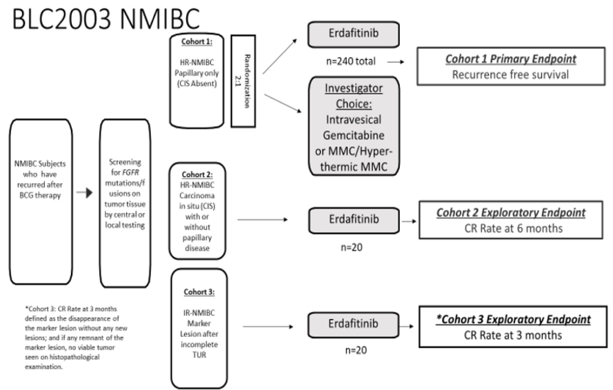 BLC2003 trial