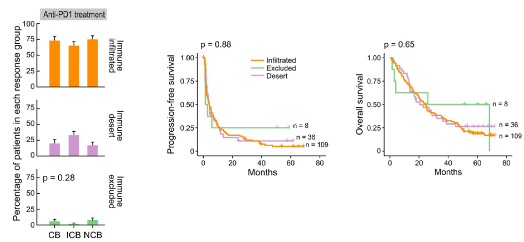 BaselineCD8_Figure5_ASCO2020.png