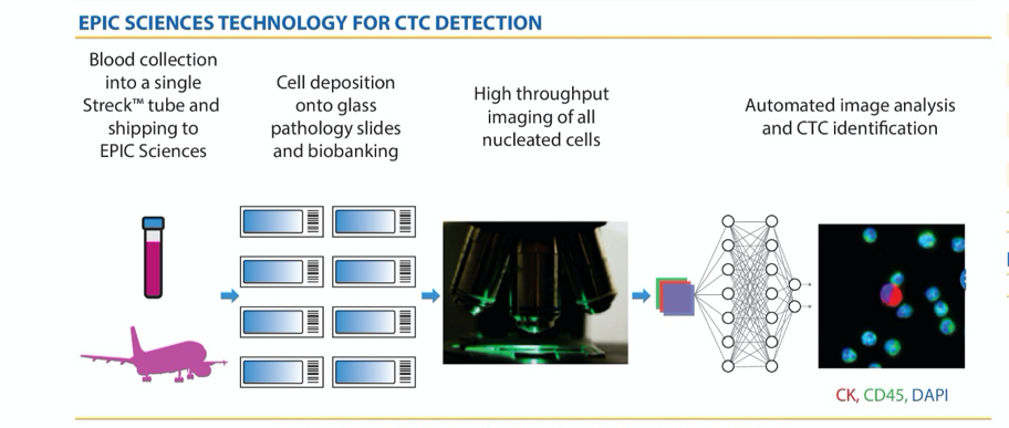 CD45-negative_cells.png