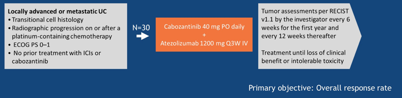 Cohort2_COSMIC-21_ASCO2020.png