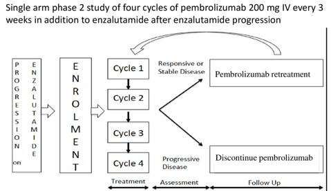 Cycles Pembrolizumab