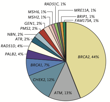 DNA_repair_genes.png