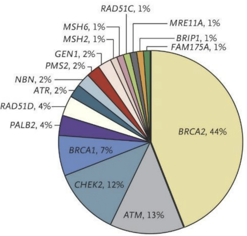 Distribution of Presumed Pathogenic Germline Mutations