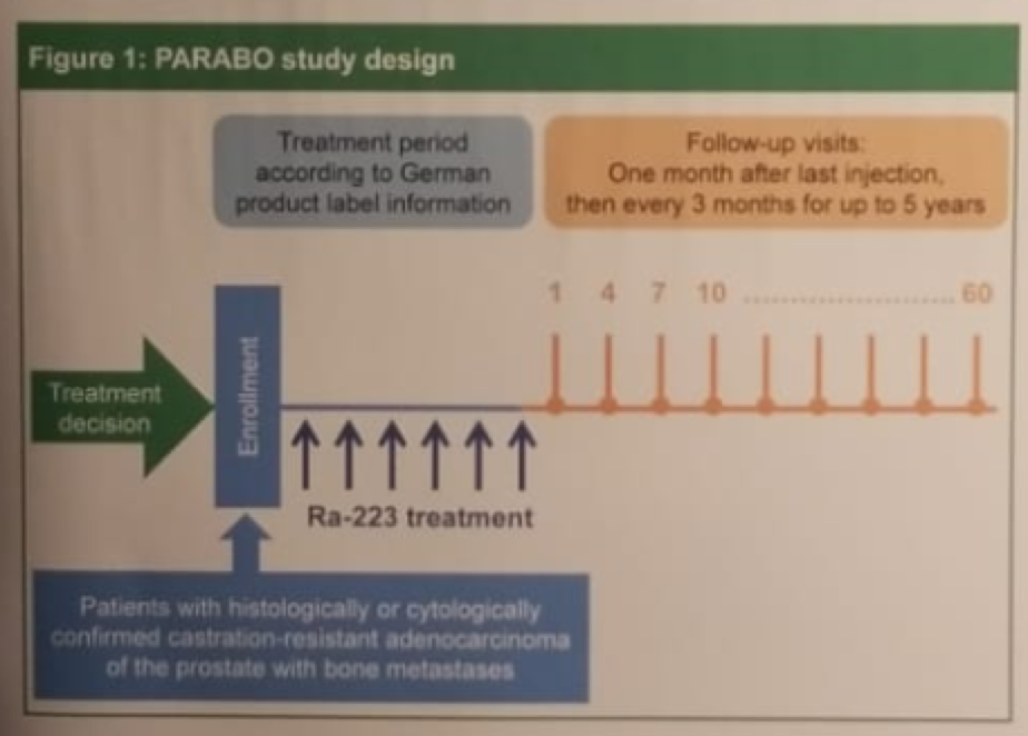 EAU2019_PARABO_study.png