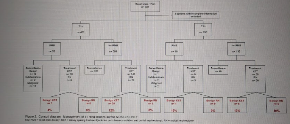 EAU2019_RMB_utilization.png