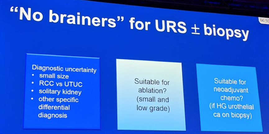 EAU2019_URS_biopsy.png