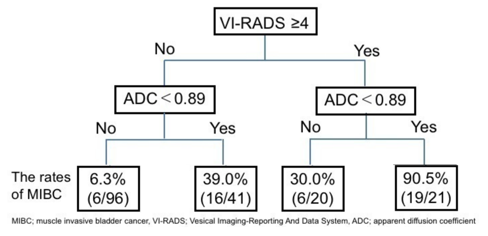 EAU2019 VI RADS