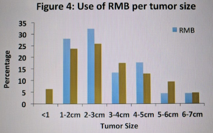 EAU2019_use_of_RMB.png