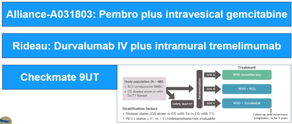 EAU2020_BCG-unresponsive_trials.png