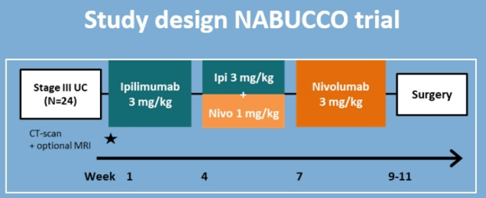 EAU2020_Boormans_2.png