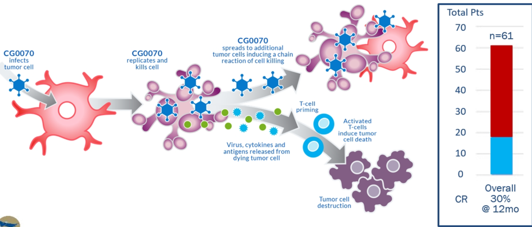 EAU2020_Oncolytic_virus.png