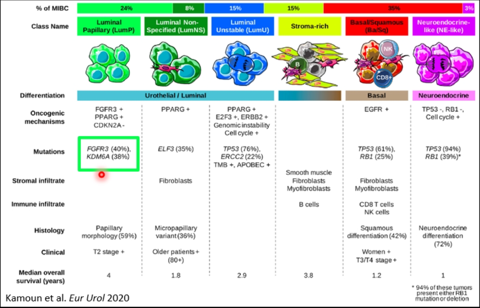 EAU2020_Seiler_4.png