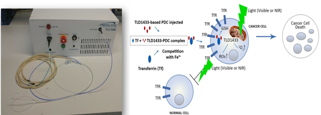EAU2020_TLD1433.png