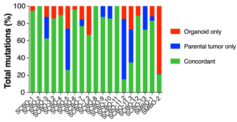 EAU2020_organoids.png