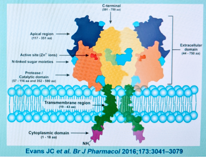 EAU2021__Fizazi_PSMA_1.png