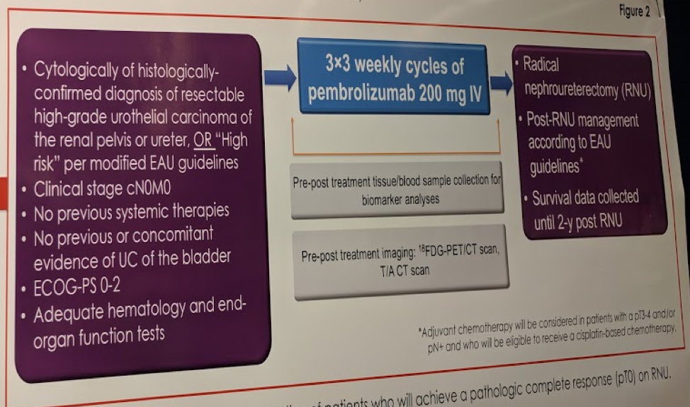 EAU 2019_PURE-02.png