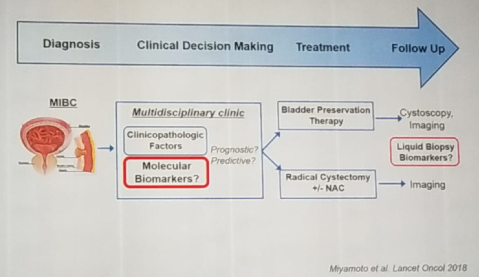 EAU 2019 role of biomarkers 