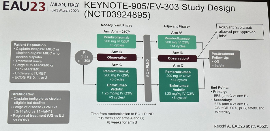 EAU_2023_Necchi_5.png