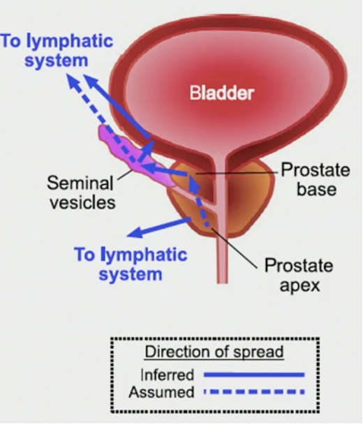 EMUC20_van_der_Poel_1.png