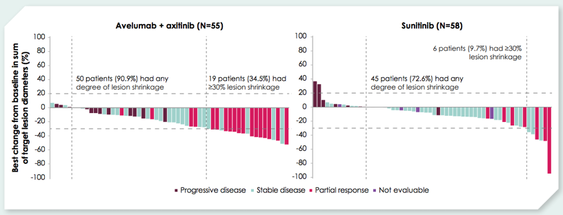 ESMO2019 3 JAVELIN Renal 101 Picture1