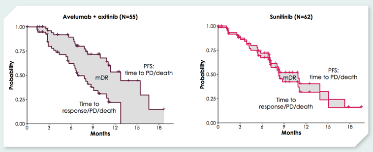ESMO2019 3 JAVELIN Renal 101 Picture2