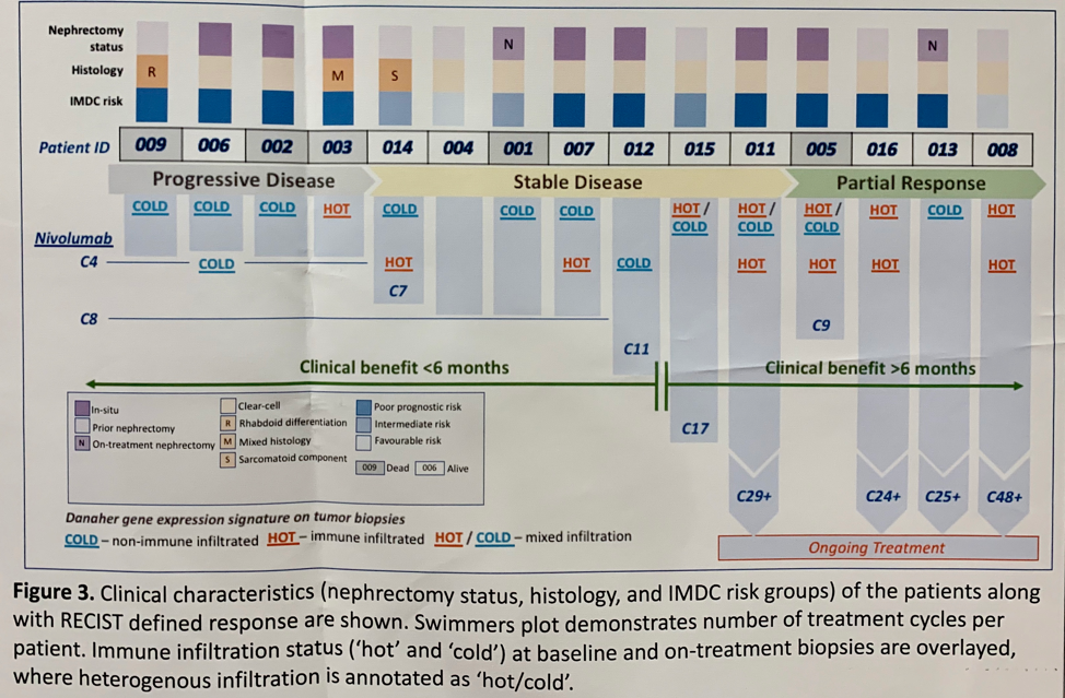 ESMO2019 ADAPTeR Picture3