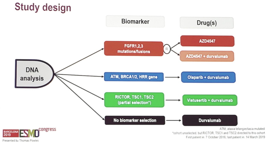 ESMO2019_DNA_analysis.png