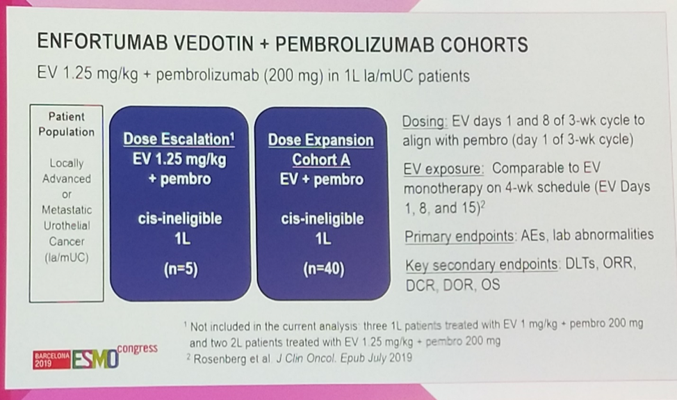ESMO2019 EV103 Cohort
