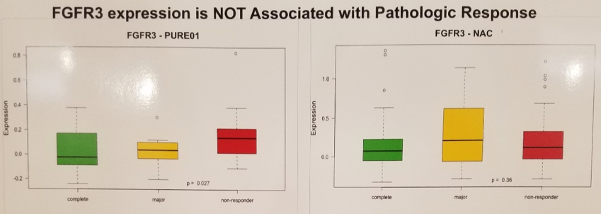 ESMO2019_FGFR3.png