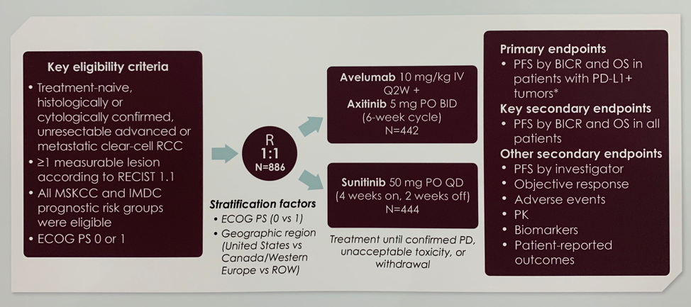 ESMO2019 JAVELIN picture1