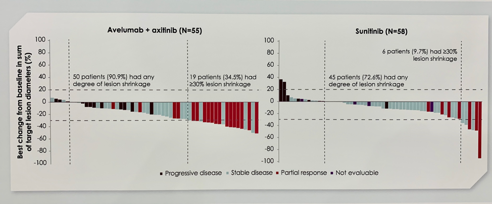 ESMO2019 JAVELIN picture2