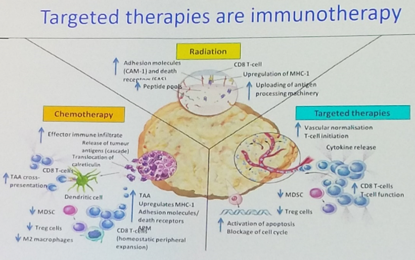 ESMO2019_Loriot_2.png