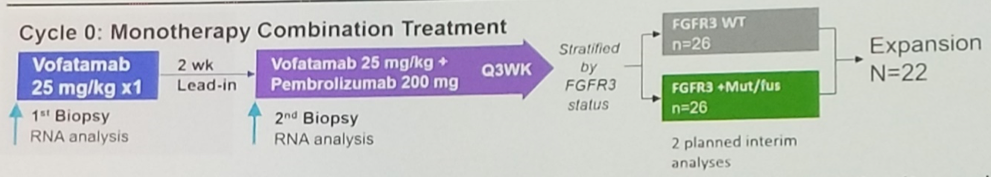 ESMO2019_Loriot_4.png