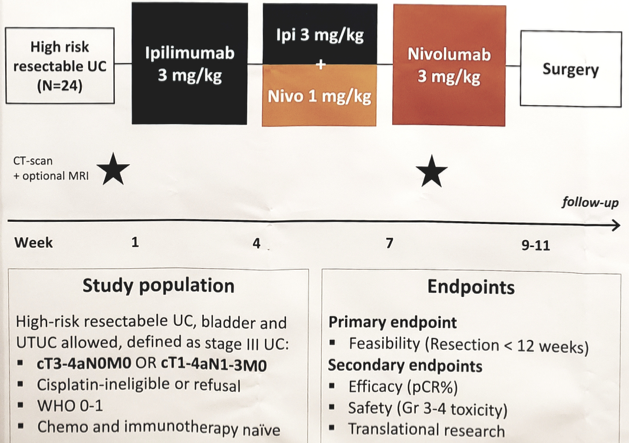 ESMO2019 NABUCCO1