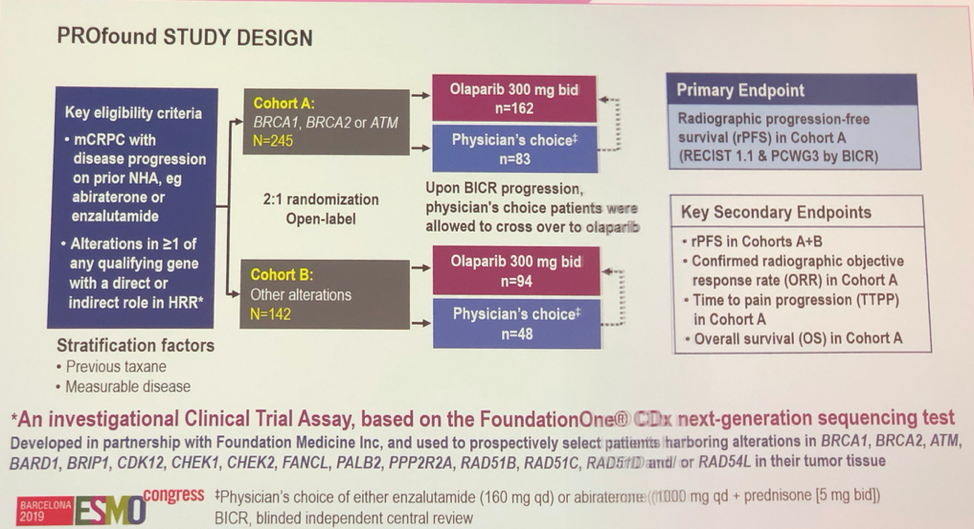 ESMO2019_PROfound_1.png