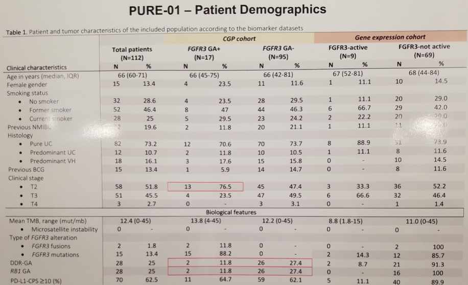 ESMO2019_PURE-01.png