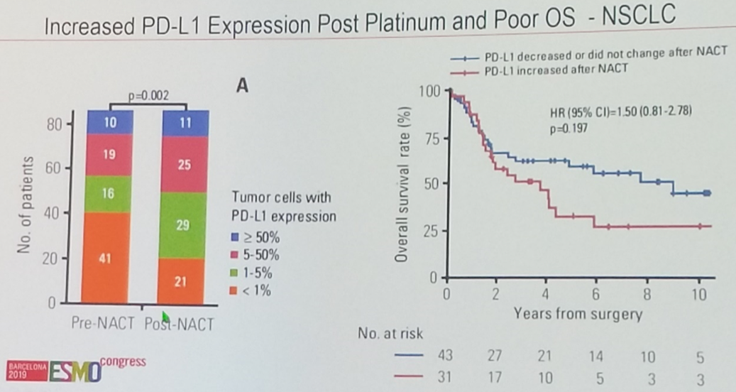 ESMO2019_Siefker-Radtke_2.png
