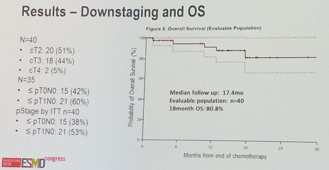ESMO2019_Siefker-Radtke_3.png