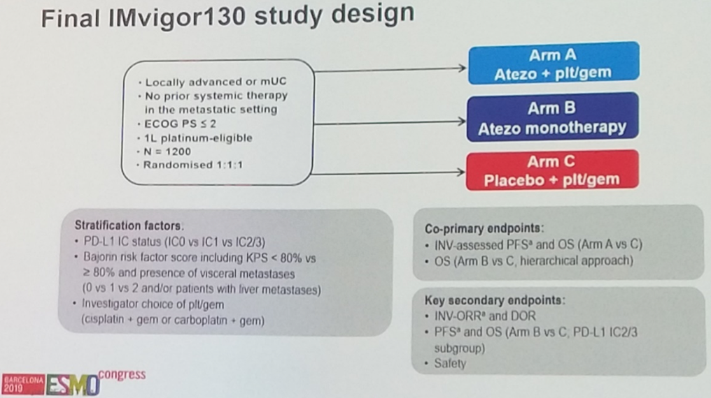 ESMO2019_Siefker-Radtke_4.png
