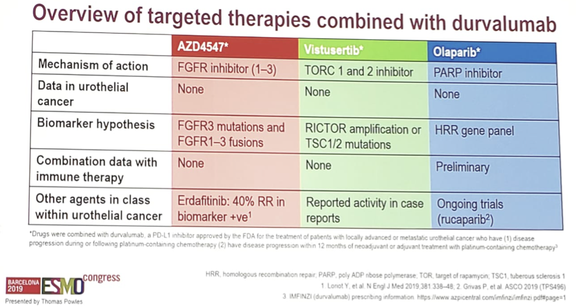 ESMO2019_durvalumab.png
