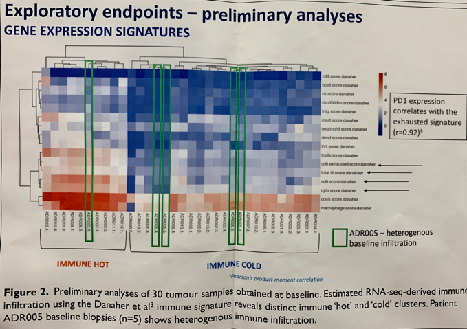 ESMO2019 endpoints
