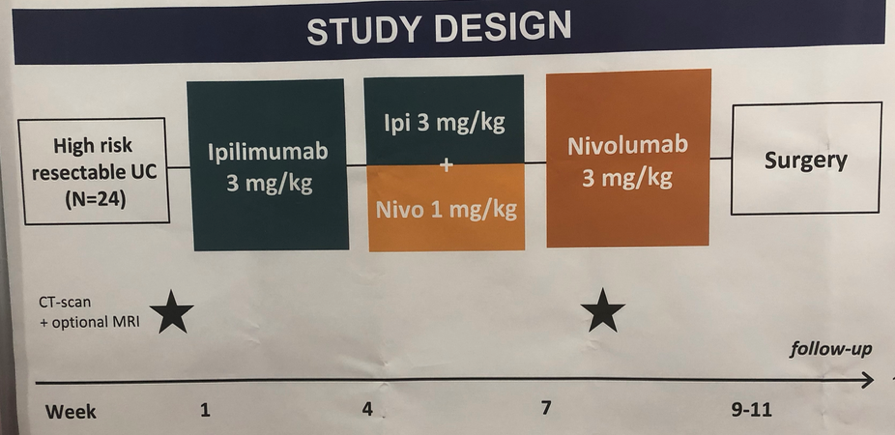 ESMO2019_ipilimunab.png
