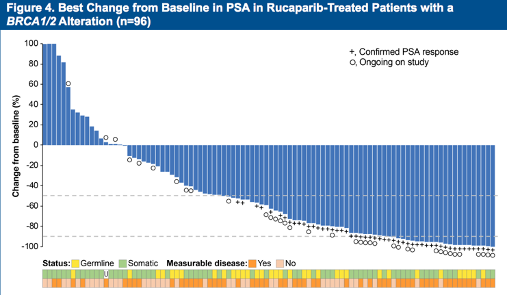 ESMO2019_rucaparib.png
