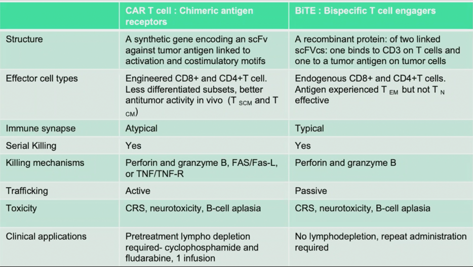 ESMO2020_AMGEN_BiTE_Sternberg_2.png