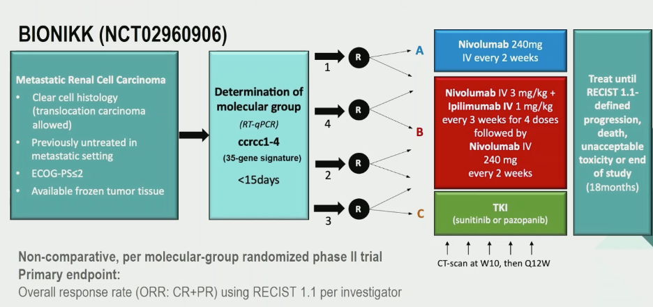 ESMO2020_BIONIKK_Trial_1.png