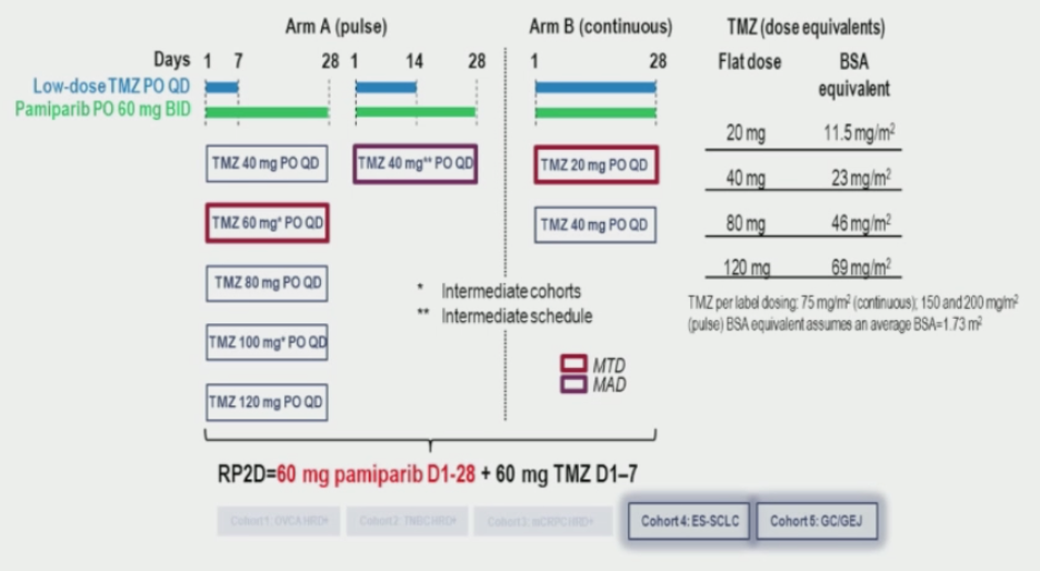 ESMO2020_Calvo_530MO_1.png